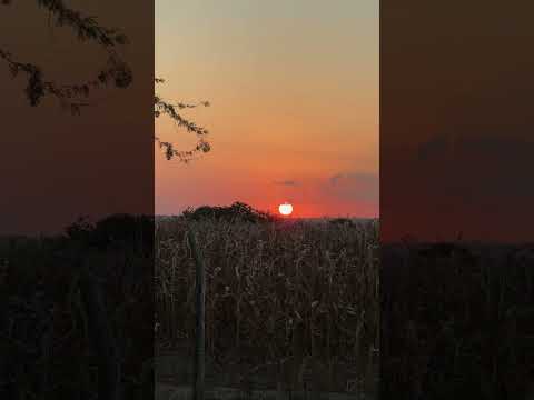 Pôr do sol top em Carira-SE