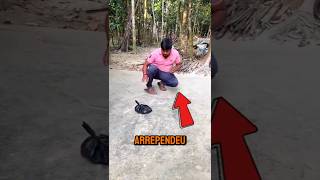 ele foi curioso demais e se deu mal! #curiosidades