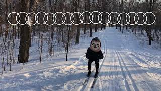 Plants and Animals  - Parc Avenue 10th Anniversary Edition