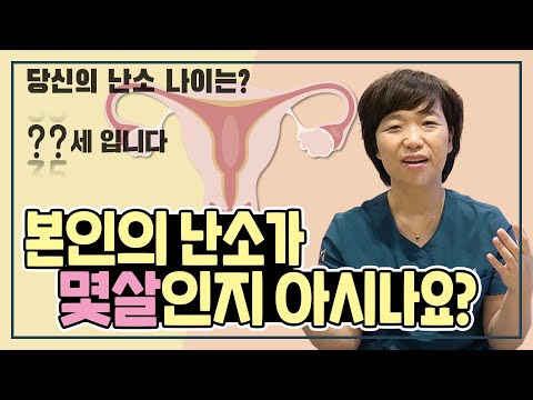 관련이미지