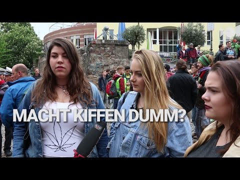 download lagu mp3 mp4 Global Marijuana March, download lagu Global Marijuana March gratis, unduh video klip Global Marijuana March