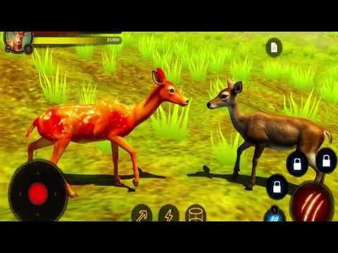The Deer