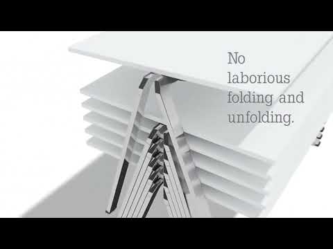 Wiesner Hager Model video