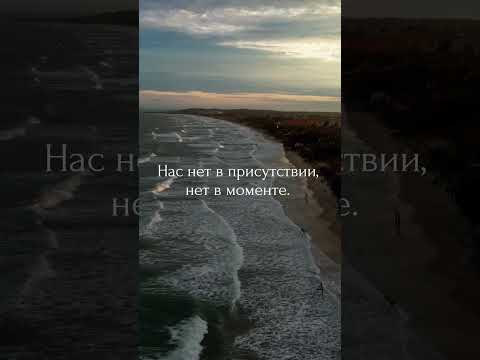 Из книги «Дыхание жизни»