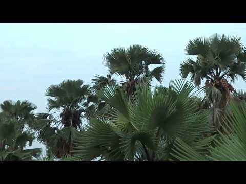 Lake Albert - Beaches at Lake Albert, Ug