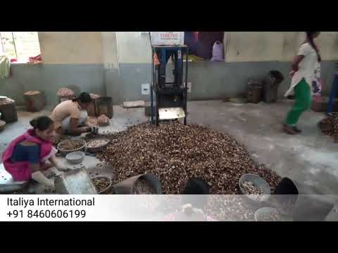 New model cashew cutting machine by italiya international