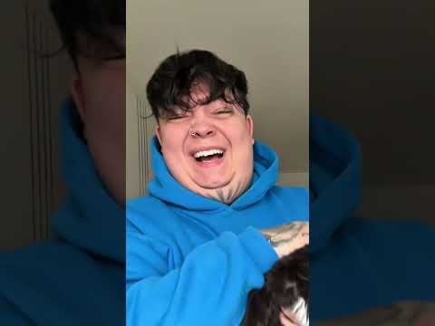 We have 6 cats 😂 a little introduction | Marvholm