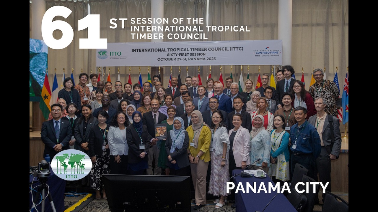 Highlights from the 61st International Tropical Timber Council (ITTC61)