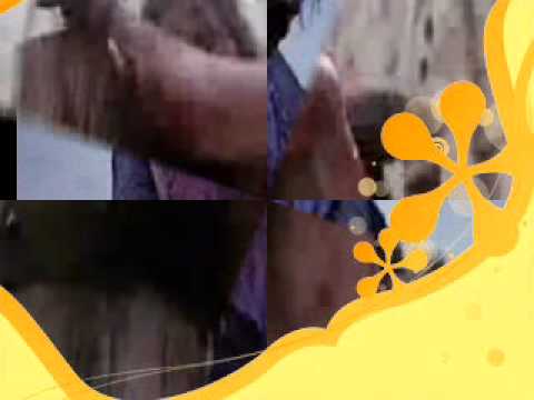 vervelas mirabela 2011