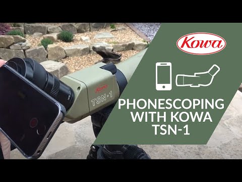 iPhone Digiscoping with Kowa  TSN-1 - Kowa System in Action!