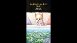 강아지 발사탕, 그냥 두면 안 됩니다 #Shorts