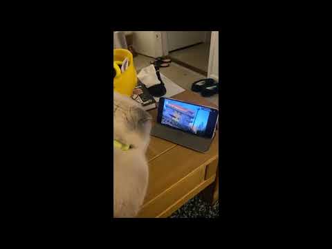 Hoshi is Watching Khel Tamasha || Sabiha Aunty || Khel Tamasha