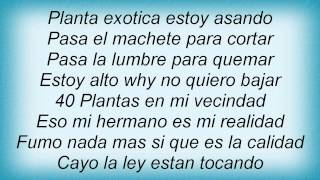 Cypress Hill - Dr. Dedoverde (Dr. Greenthumb) Lyrics