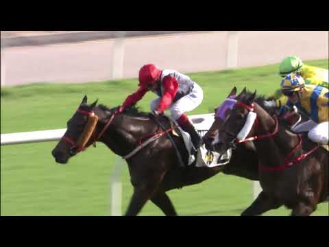 7/11/2021 (154) Trillion Win/ Fantastic Way  - A Badel/J Moreira (Dead Hit!)