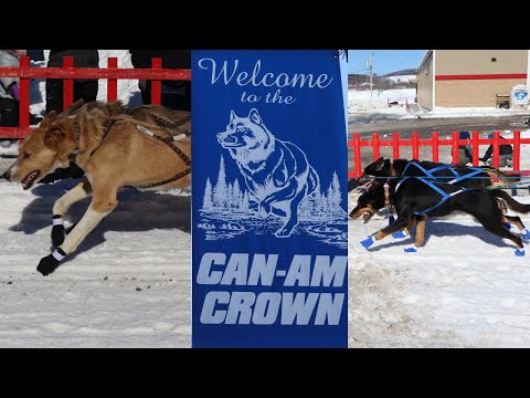 YouTube video about: Can am dog sled race 2020 results?