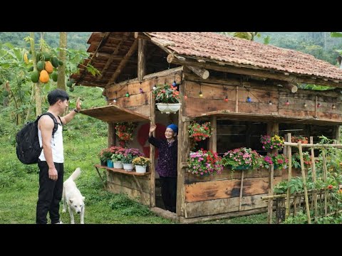 CEO Trieu Khang quietly leaves to return home and search for a lonely old woman’s missing daughter