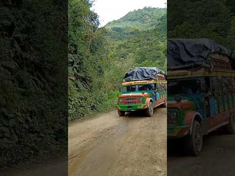 la chiva la paisita viajando de Villahermosa hacia Líbano Tolima viaja llena de #café #campo #chivas