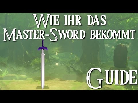 How to get the Master Sword / Lost Woods Guide - ZELDA: BREATH OF THE WILD