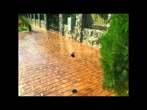 Beton Amprentat Zăbalț Tel.0761350488 Arad,Austria,Ungaria,Serbia