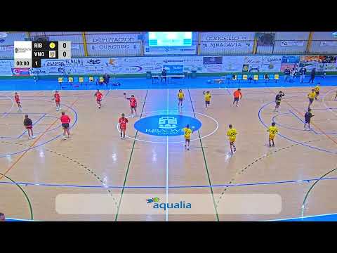 BALONMAN: BM. RIBEIRO REBUSCA 46 - VALINOX NOVÁS "C"