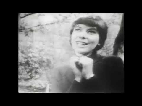 Bettina Wegner - Jan