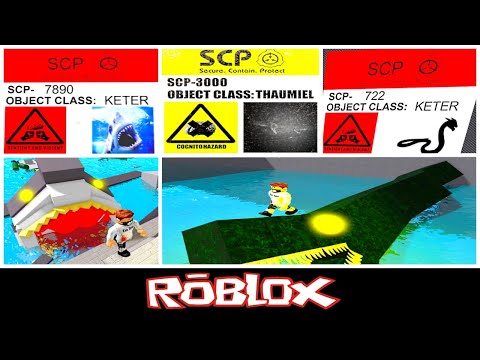 Scp 3000, Scp 7890 & Scp 722(SCP - Shark (SCP-2006 and new SCP) By Tangyboomboy1)   Roblox