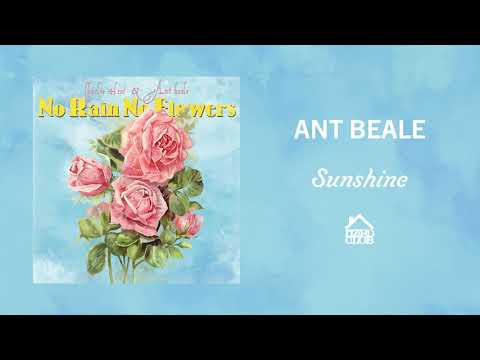 Ant Beale - Sunshine (Official Audio)