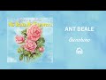 Ant Beale Sunshine Official Audio