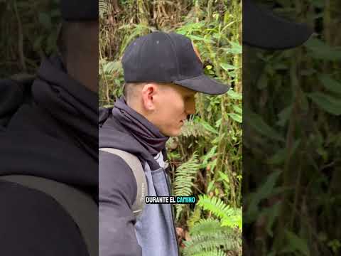 Otro paraíso NATURAL en LABATECA🤯😱. #viral #viralvideo #nature #shortvideo #shorts #short