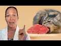 Is Raw Cat Food Safe For Cats A Vet S Perspective