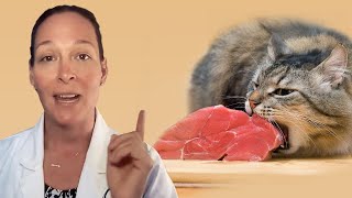 Is Raw Cat Food Safe For Cats? (A Vet