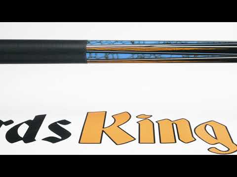 Dufferin D-SE42 Pool Stick - Cue View 360 - 4k Ultra HD Rotating 360 Degree Pan & Zoom