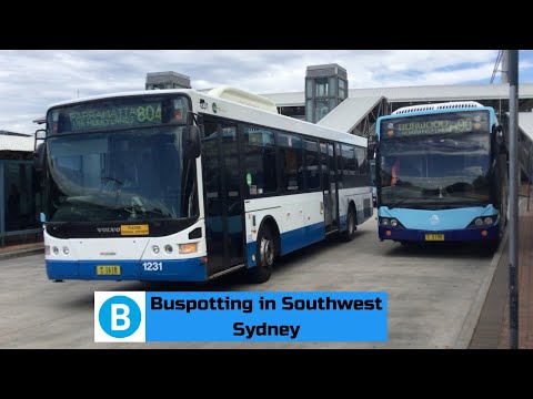 Adam's Trains Vlogs: Buspotting in Southwest Sydney