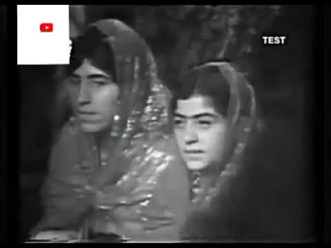 Yallah şoför Yallah Hesen Zirek