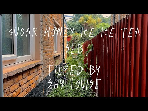 SEB - sugarhoneyiceicetea (Official Visualizer)