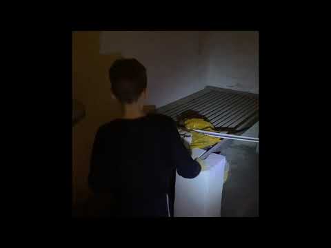 Heute kommen die Eier in den Brutkasten