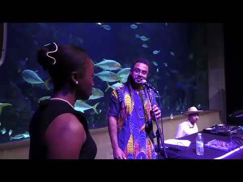 Fiesta de cierre de Urretxindorra 2024 - 2024ko Urretxindorra itxiera festa