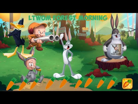 LTWOM Regional Forest Event Forest Morning