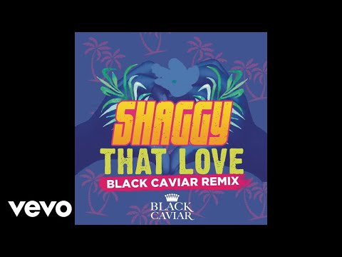 Shaggy - That Love (Black Caviar Remix) [Audio]
