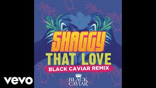 Shaggy - That Love (Black Caviar Remix) [Audio]