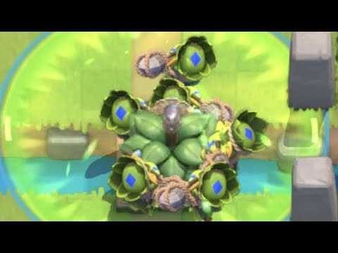 1.8 suspicious bush cycle