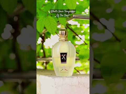 Xerjoff Renaissance #fragrancereview #shorts #perfume #perfumecollection