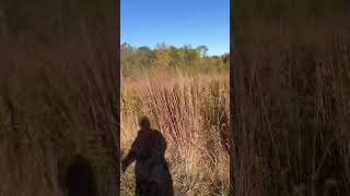 Me and my shadow out for a walk