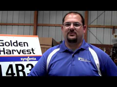 Golden Harvest® Corn Grower Testimonials