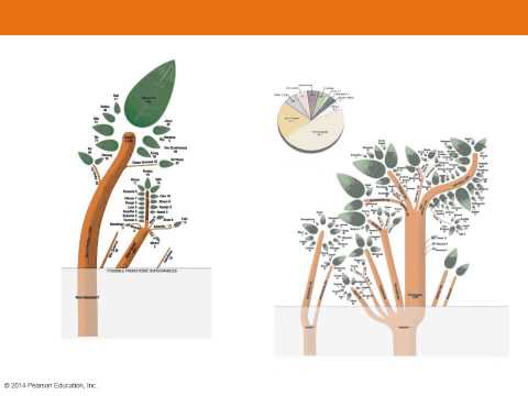 Chapter 5 Key Issue 1