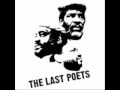 last poet :dorellia du fontaine