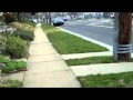 My Walk Around The Block
