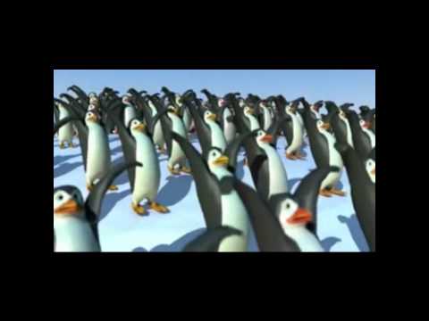 download lagu mp3 mp4 Varan Varan Poochandi Tamil Song, download mp3 Varan Varan Poochandi Tamil Song free downloadn, video klip Varan Varan Poochandi Tamil Song