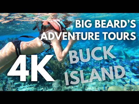 🇻🇮 4K Saint Croix | Big Beard's Adventure Tours | Buck Island | US Virgin Islands