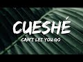 Cueshé - Can't Let You Go (Lyrics)